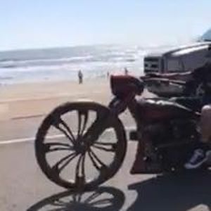 Meet your Posher, Art